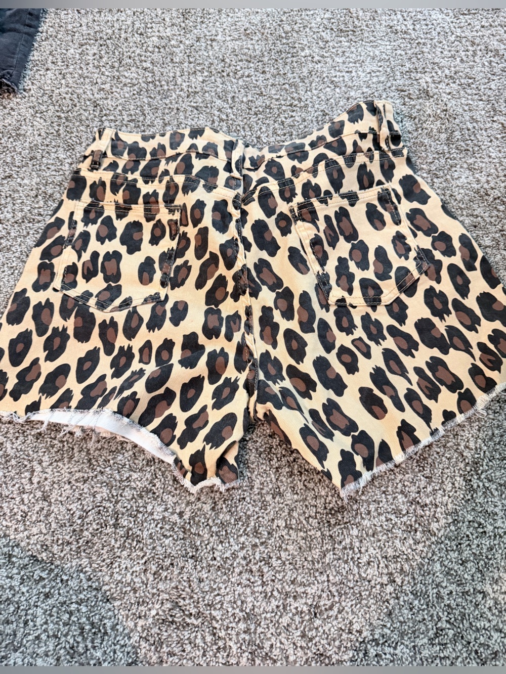 Leopard Jean shorts : NWOT - Picture 2 of 3